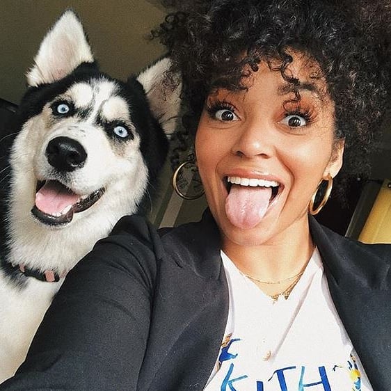 Dog Lovers Online Pet Store