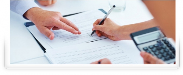 Zi-Company Secretarial Services