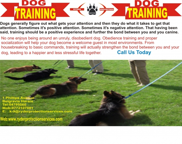 Ryder Protection Services Zimbabwe (pvt) Ltd