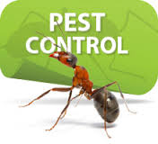 Pest Exterminators