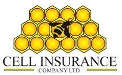 Cell Insurance Company (Pvt) Ltd
