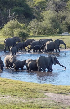 Nyanga National Park
