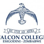 Falcon College