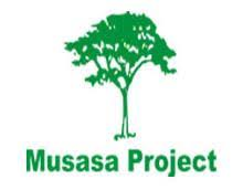 Msasa Project